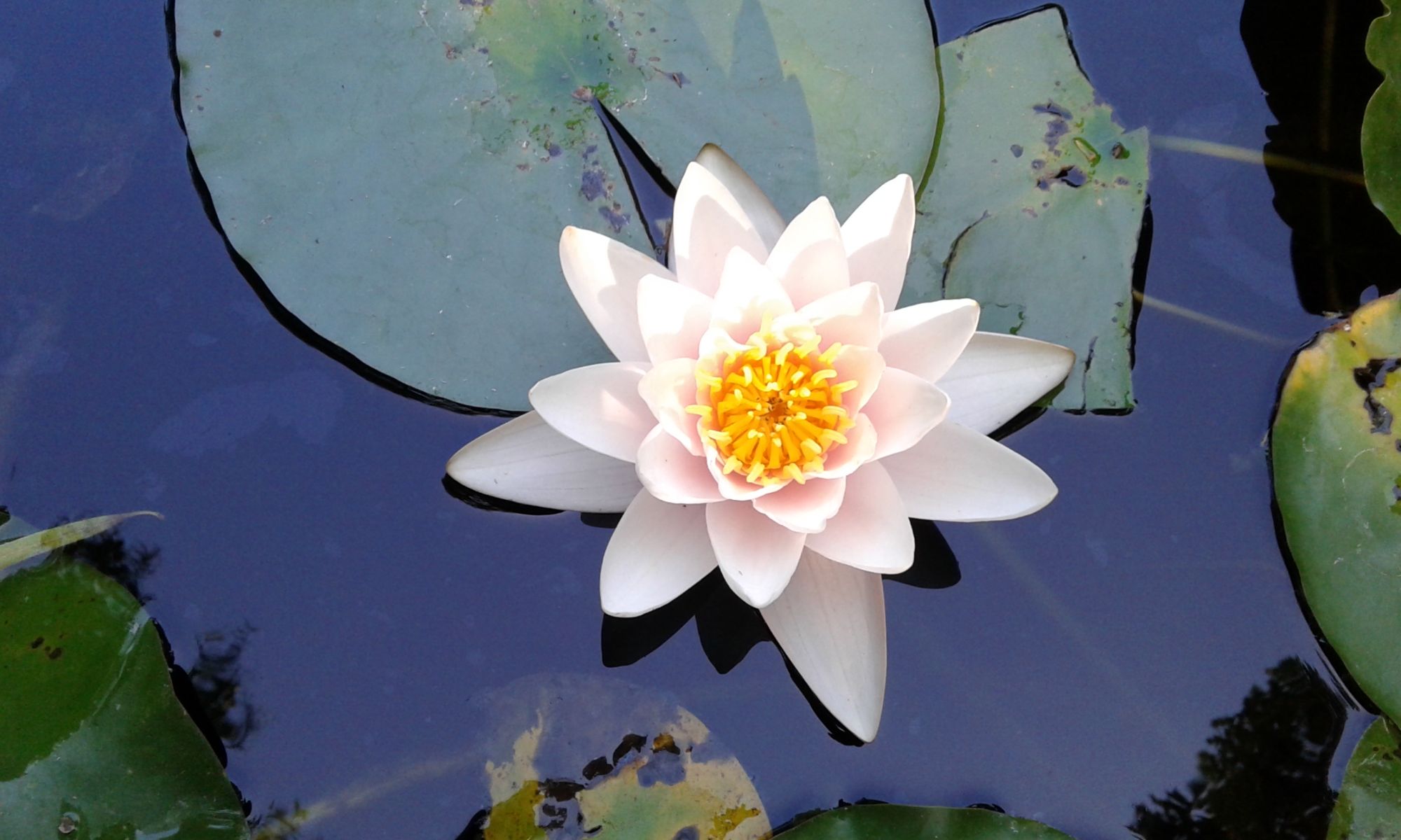 Stephen B. Groton Insurance Agency